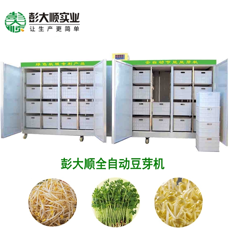 彭大顺豆芽设备可做产品图片